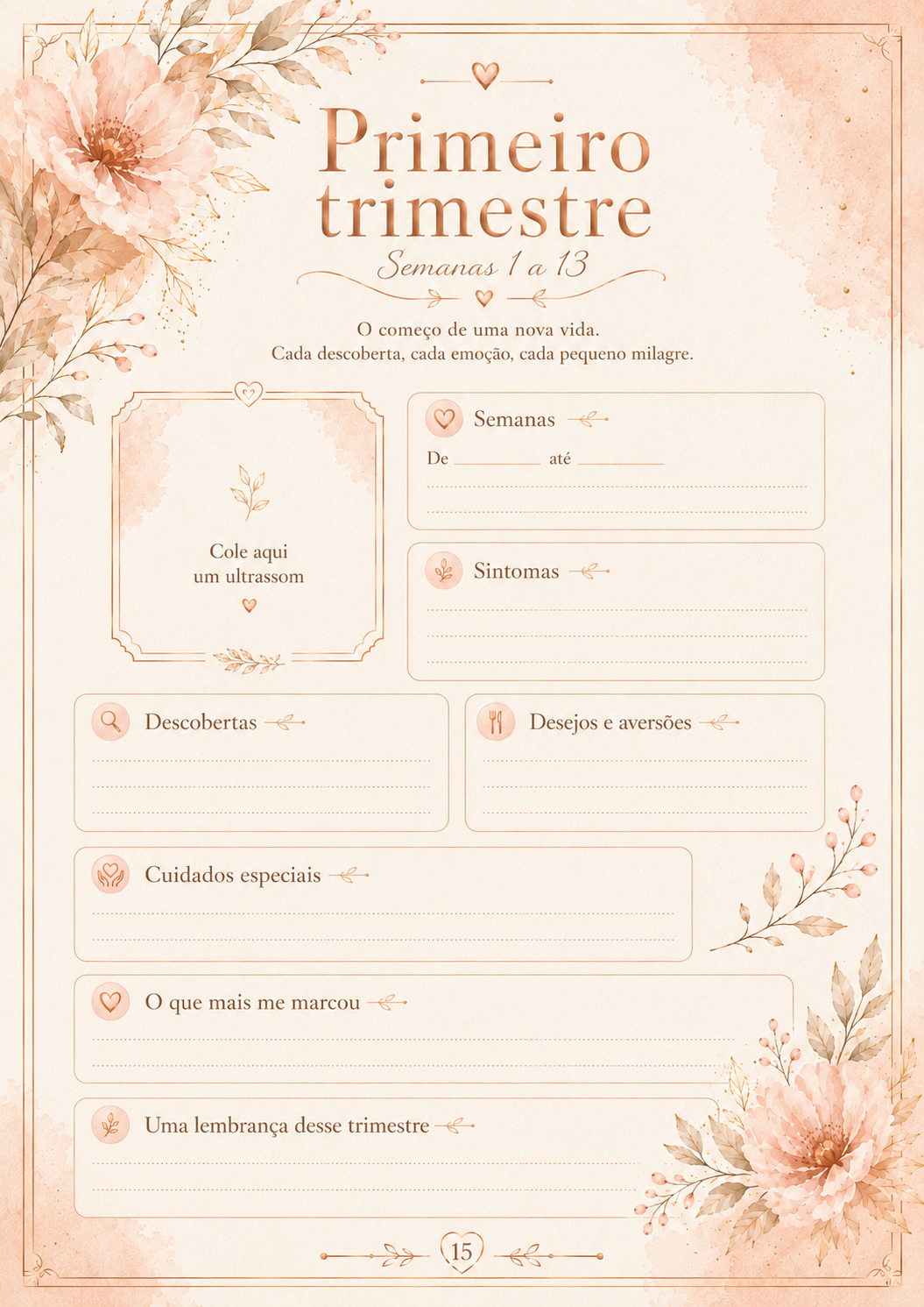 Prévia do Diário da Gestação
