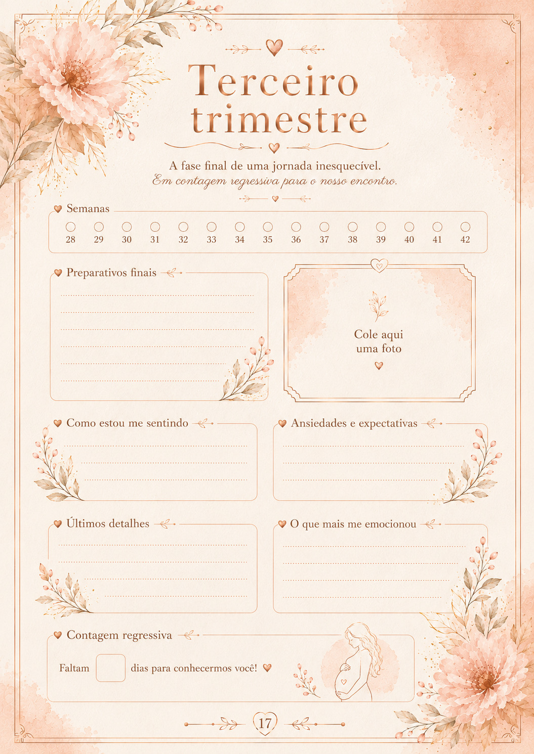 Prévia do Diário da Gestação